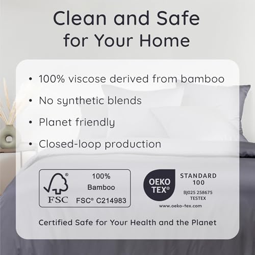 Bambaw 100% Viscose Derived from Bamboo Sheets Twin Size Set – 4-Piece Cooling Sheet Set Twin Size, Lightweight, Soft & Moisture Wicking, Deep Pocket Fits Up to 15" Mattresses, Smooth Feel (Charcoal)