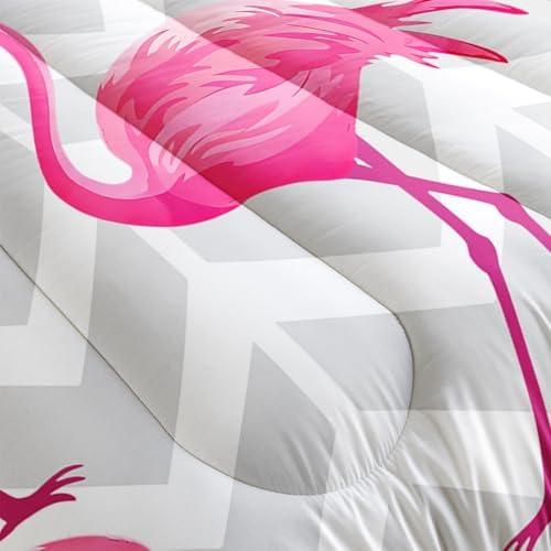 Flamingo Comforter Set Twin Size Tropical Flamingo Geometric Stripe Bedding Set Flamingo Quilted Duvet for Kids Girls Boys Adult with 1 Comforter and 2 Pillowcases