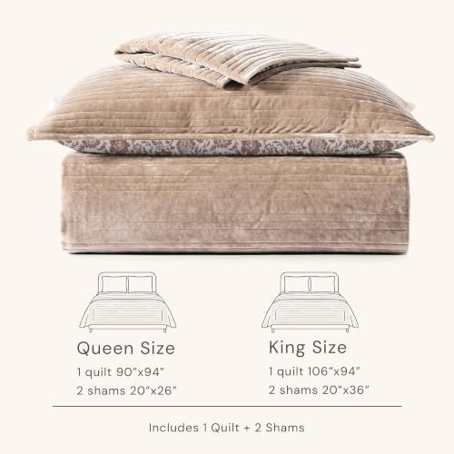 BLOOMHAVEN Taupe Velvet Quilt Queen Size-Reversible Queen Quilt Bedding Set
