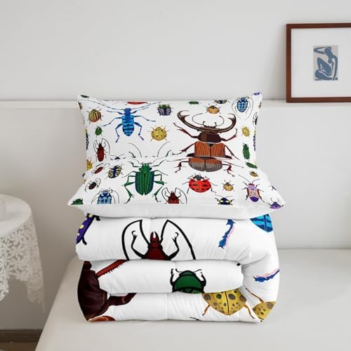 Feelyou Kids Bug Comforter Queen Boys Flying Bugs Pattern Comforter Set for Girls Children Colorful Beetle Collection Decor Bedding Set Soft Lightweight Nature Animal Bed Set 1 Comforter 2 Pillow Case