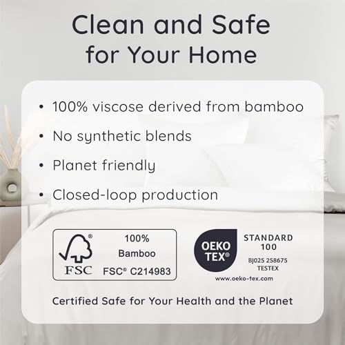 Bambaw 100% Viscose Derived from Bamboo Sheet Set Twin Size – 4-Piece Twin Size Sheets Set, Cooling, Smooth & Lightweight, Deep Pocket Design, Comfortable All Night (Moonlight Gray)