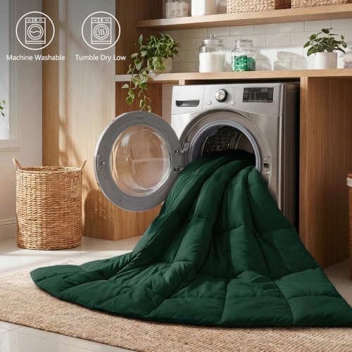 CozyLux Twin/Twin XL Comforter Set, 2-Piece Box-Stitched, Emerald Green