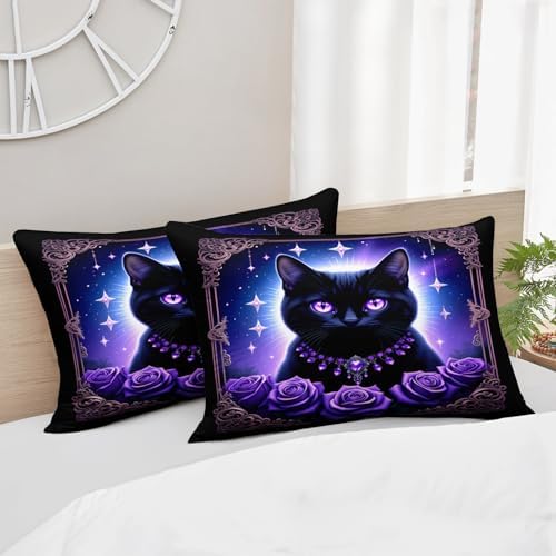 HOSIMA Cat Queen Fitted Sheet for Boys Girls,1 Fitted Sheet+2 Pillowcases.