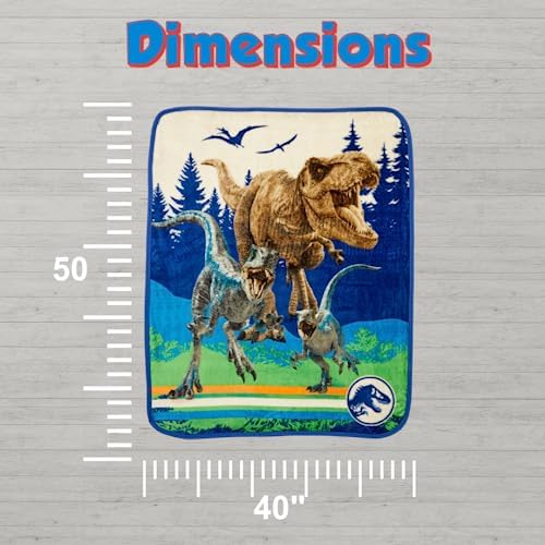 Jurassic World Dominion Rexy T-Rex Kids Bedding Super Soft Silk Touch Throw, 40 in x 50 in, (Official Licensed Product) By Franco
