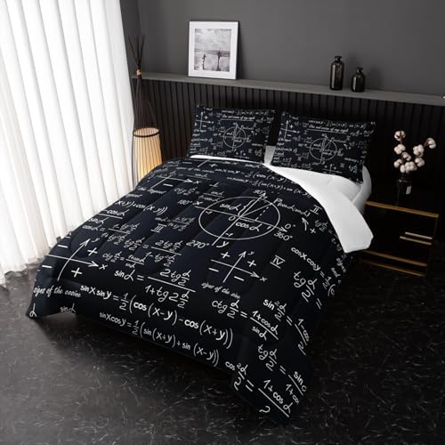Math Equations Bedding Set for Boys,Mathematics Comforter Set, Math Geometry Axis Art Quilted Duvet for Teens Bedroom Decor,Modern Decorative 3 Piece Bedding Set with 2 Pillow Shams,King Size,Black