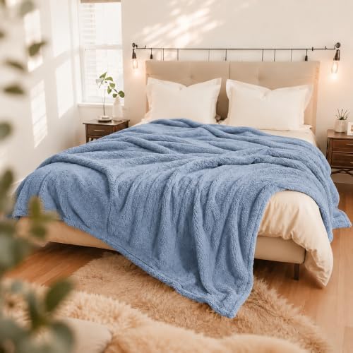 Eydna Electric Heated Blanket Full Size 72"×84" with 9 Heating Levels & 1-10Hs Auto Off,Double Sided Plush Sherpa, Energy Efficient, Machine Washable, for Couch & Bed, Gifts for Women- Light Blue