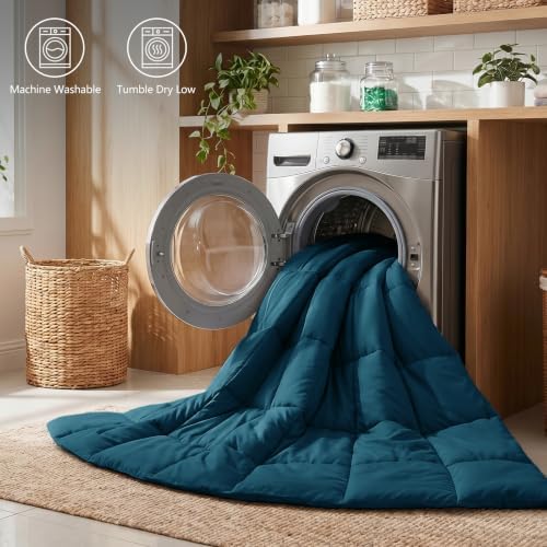 CozyLux Twin/Twin XL Comforter Set, 2-Piece Box-Stitched, Lyons Blue