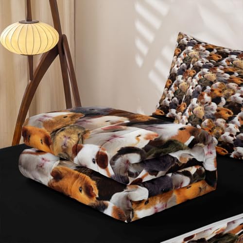 Feelyou Guinea Pig Cavy Comforter Set Queen Size Girls Boys Kids