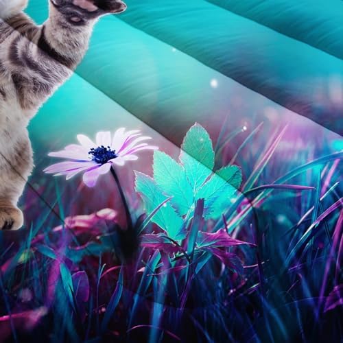 AILONEN Cat Bedding Set Queen Size with Girl Sitting on The Moon and Jellyfish Comforter Set for Kids Boys Girls,Dreamy Starry Soft Breathable Duvet Set 3 Pieces, 1 Quilt and 2 Pillowcases