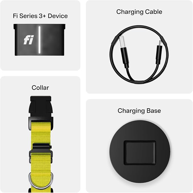 Fi Series 3+ GPS + Health Dog Collar, Yellow, Large, 12-Month Membership | Smart GPS dog collar with live tracking, health & behavior, Escape Alerts, LED light. Waterproof and Apple Watch compatible.