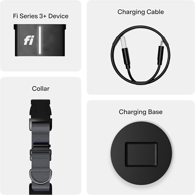 Fi Series 3+ GPS + Health Dog Collar, Gray, Small, 12-Month Membership | Smart GPS dog collar with live tracking, health & behavior, Escape Alerts, LED light. Waterproof and Apple Watch compatible.