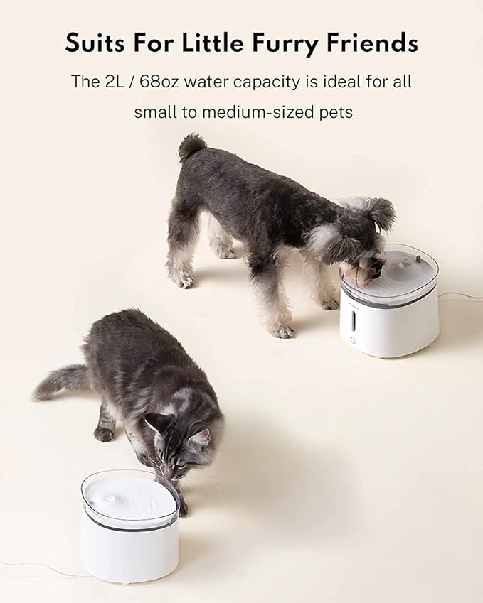 HomeRunPet Silent Cat Water Fountain, 68 oz/2L, Pet Fountain Wireless Pump, Dog Water Dispenser, Dual Mode, Quick Assembly & Easy-Clean, Filters Included | 20dB Ultra-Quiet Water Dispenser for Cats and Small Dogs, Easy-Clean, Triple Filtration, LED Dis...