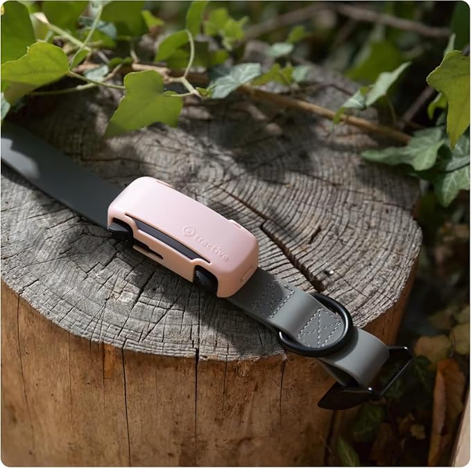 Tractive GPS Dog Tracker (2025 Release) Real-time Pet Location Tracker | Health & Wellness Alerts | Virtual Fence for Dogs | Bark Monitoring (Mint w/Pink Cover)