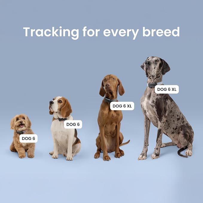 Tractive XL Smart Dog GPS Tracker | Live Pet Tracker with Virtual Fence | Vital Signs Monitoring of Heart & Respiratory Rate | Up to 6-Weeks Battery Life | Dog Collar Attachment (Brown)