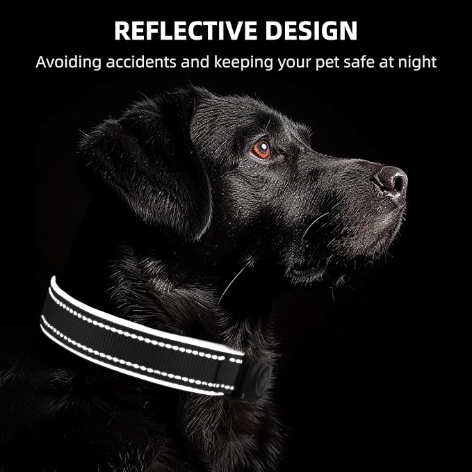 Upgrade Dog Collar with AirTag Holder, IP68 Waterproof, Ebony, L | Built-in Water Resistant AirTag holder, 1000D Nylon, Reflective Stitching for Night Visibility, Soft padding for Comfort