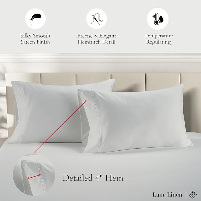 LANE LINEN 100% Egyptian Cotton Pillow Cases Queen Size Set of 2 (20"x30") - 1000 Thread Count Pillowcases Queen Size - Soft Queen Pillow Case - White Pillowcase Pack of 2
