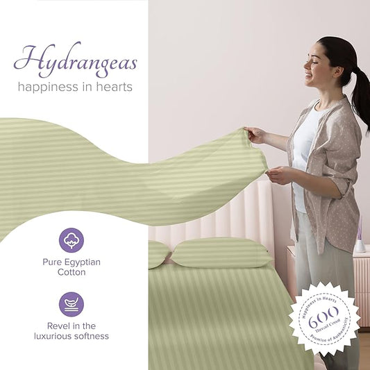 Carressa Linen 100% Egyptian Cotton King Size Sheet Set - Striped 600 Thread Count Egyptian Cotton Sheets King Size (Sage Green), Silky Soft, Cooling, Sateen Weave 16" Deep Pocket Damask Hotel Sheet
