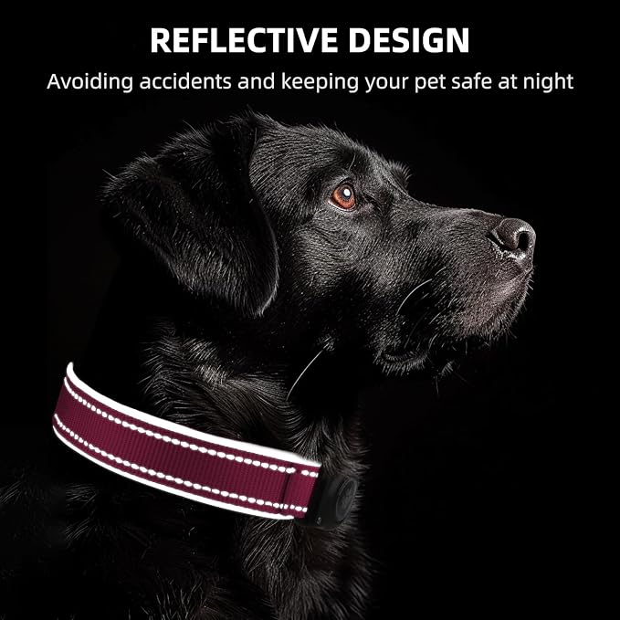 Upgrade Dog Collar with AirTag Holder, IP68 Waterproof, Watermelon red, L | Built-in Water Resistant AirTag holder, 1000D Nylon, Reflective Stitching for Night Visibility, Soft padding for Comfort