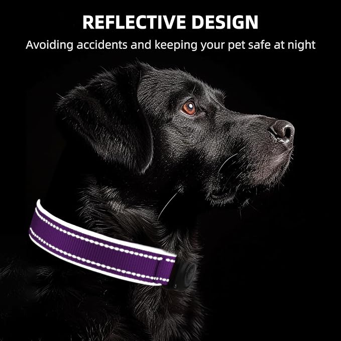 Upgrade Dog Collar with AirTag Holder, IP68 Waterproof, Grape Purple, S | Built-in Water Resistant AirTag holder, 1000D Nylon, Reflective Stitching for Night Visibility, Soft padding for Comfort