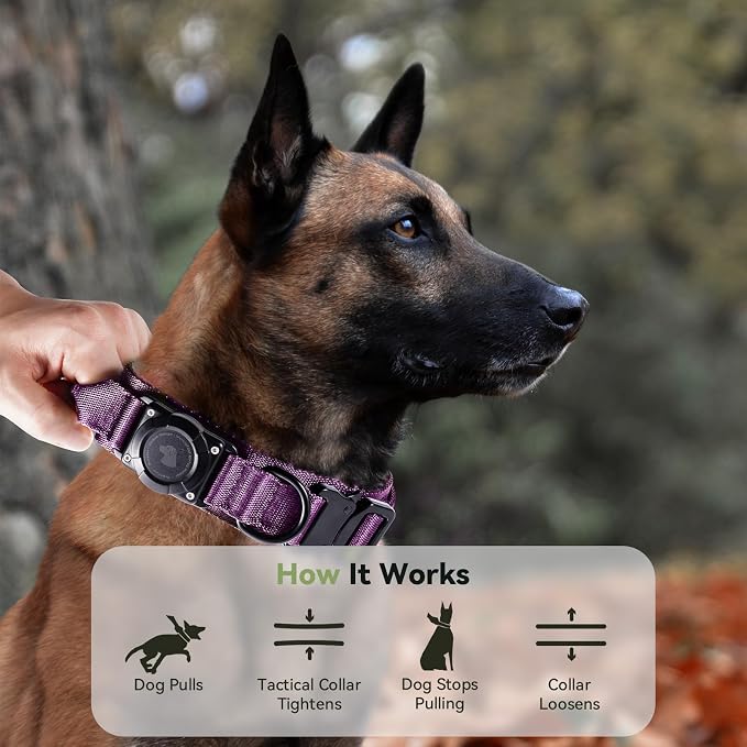 2026 Upgrade Waterproof Tactical AirTag Dog Collar, Built in AirTag Holder | Comfortable Control Handle, Quick Release Metal Buckle, Durable 1000D Nylon, For Medium to Large Dogs, Purple, M