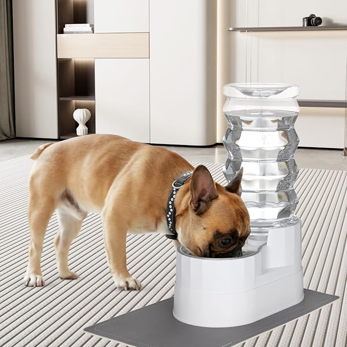 RIZZARI 8L Elevated Dog Water Dispenser: Senior Pets Filtered Hydration | Raised Stand Helps Reduce Neck Strain/Stainless Steel Bowl/Quiet Gravity-Fed Operation/for Multi-Pet Homes