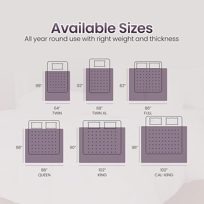 Utopia Bedding Comforter Duvet Insert, Quilted Comforter with Corner Tabs, Box Stitched Down Alternative Comforters Twin Size (Plum)