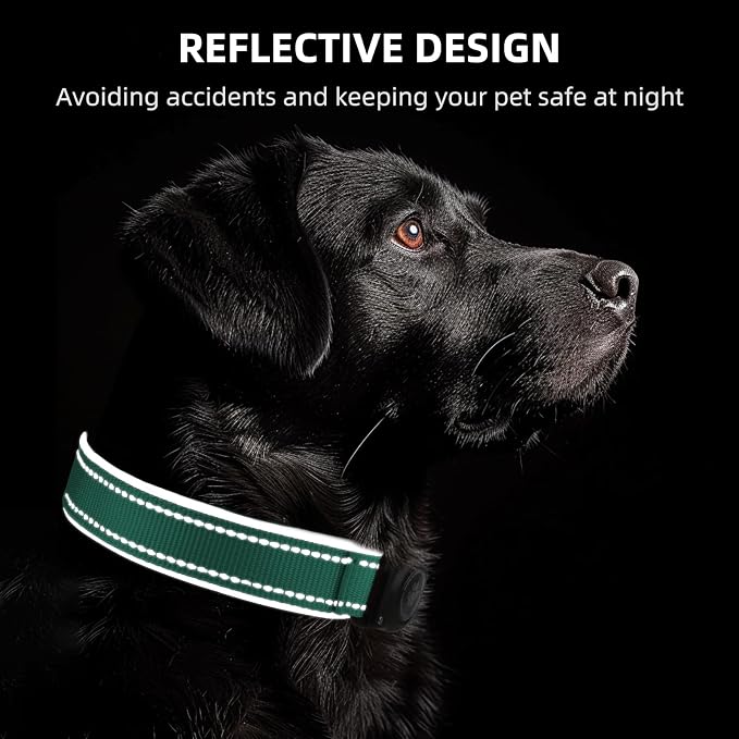 Upgrade Dog Collar with AirTag Holder, IP68 Waterproof, Aqua, S | Built-in Water Resistant AirTag holder, 1000D Nylon, Reflective Stitching for Night Visibility, Soft padding for Comfort