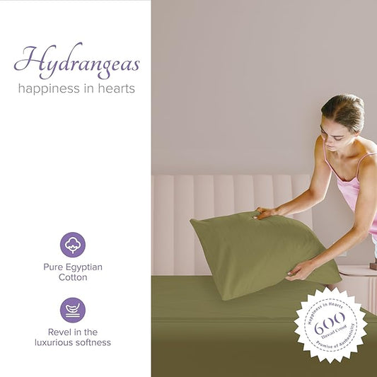 Carressa Linen 100% Egyptian Cotton Pillow Cases Queen Size Set of 2 - Luxury 600 Thread Count Sage Green Standard/Queen Size Pillowcases, Silky Soft, Cooling Sateen Weave Hotel Quality Pillow Cover