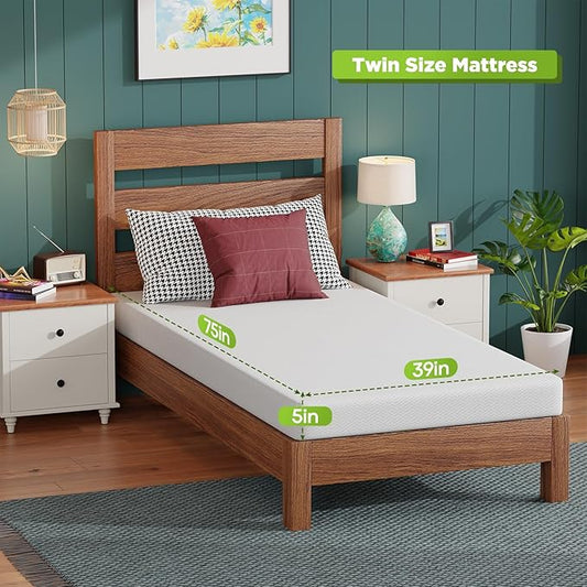 FDW 5 Inch Twin Mattress, Base Foam, Medium Firm Support, Breathable & Comfortable, Removable Washable Zipper Cover, Bed-in-a-Box,CertiPUR-US Certified