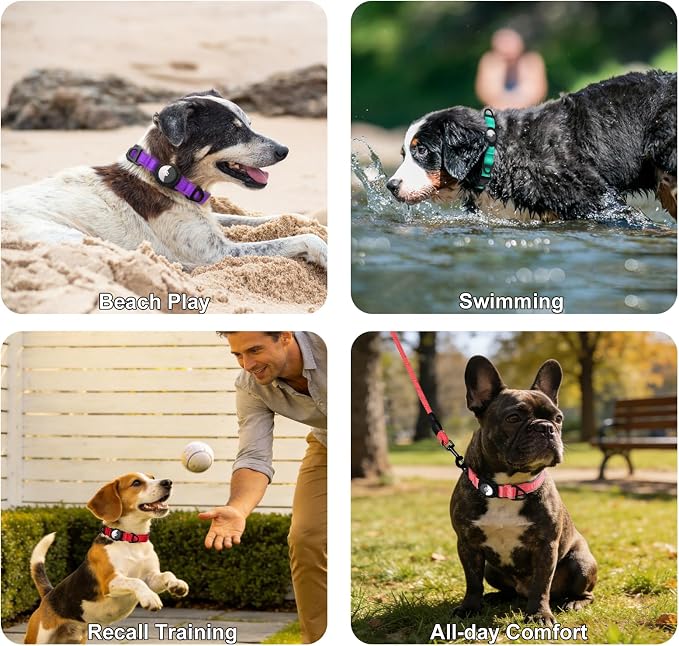 Taglory AirTag Dog Collar with Waterproof Holder for Large Dogs, Purple, XL | Reflective for Night Walks & Low-Light Safety, Track Your Pup Peace of Mind, Adjustable Soft Padded, No More Dangling Tags