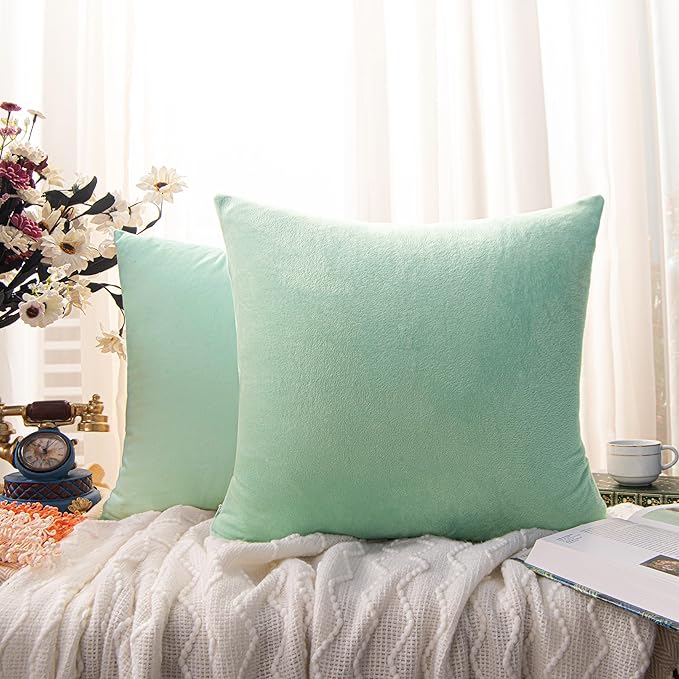 NTBAY Velvet 2 Pack Square Zippered Throw Pillow Covers, Super Soft and Luxury Euro Cushion Covers for Sofa, Couch, 24x24 Inches, Cyan