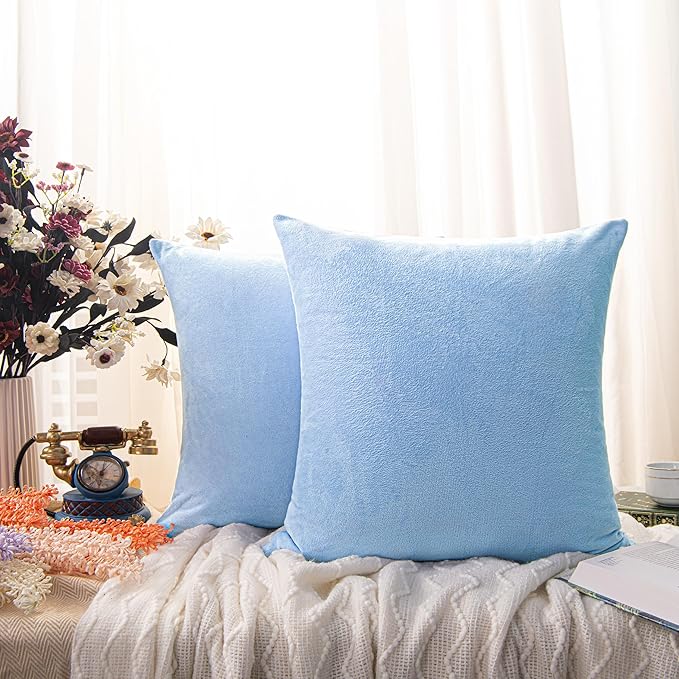 NTBAY Velvet 2 Pack Square Zippered Throw Pillow Covers, Super Soft and Luxury Euro Cushion Covers for Sofa, Couch, 26x26 Inches, Sky Blue