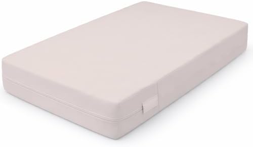 Guardmax Sleeper Sofa Mattress Protector Zippered, Bed Bug Mattress Cover