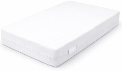 Guardmax Full Mattress Protector Zippered, Bed Bug Mattress Cover