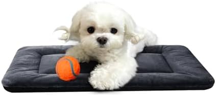 Dog Crate Pad Washable Dog Bed for Crate Small Cozy Mat 22-Inch Dark Gray