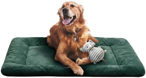 Dog Crate Pad Washable Dog Bed for Crate Large Cozy Mat 42-Inch Green