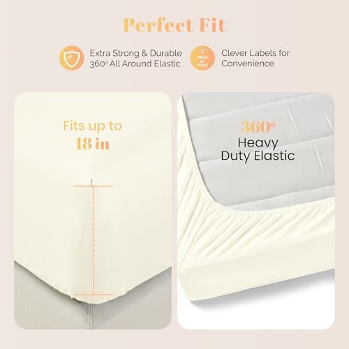 100% Egyptian Cotton Sheet Twin XL Size - 800 Series Elite Collection Egyptian Cotton Twin XL Size Bed Sheets Set (3 PC, Ivory), Soft, Cooling, 16" Deep Pocket Luxury Hotel Bedsheet