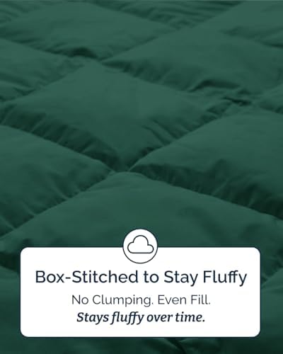Twin XL Comforter Set - Emerald/Light Sage All Season Bedding - 2 Piece Set
