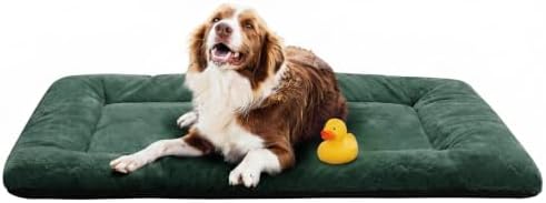 Dog Crate Pad Washable Dog Bed for Crate Large Cozy Mat 48-Inch Green