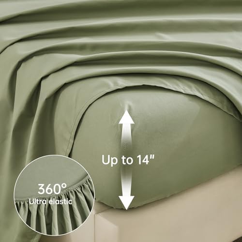 Luxudecor Floral Comforter Set Queen Bed in a Bag Set,7 Pieces Green Floral Comforter and Sheet Set,Soft Microfiber Bedding Sets for All Seasons (Green,90"X90")