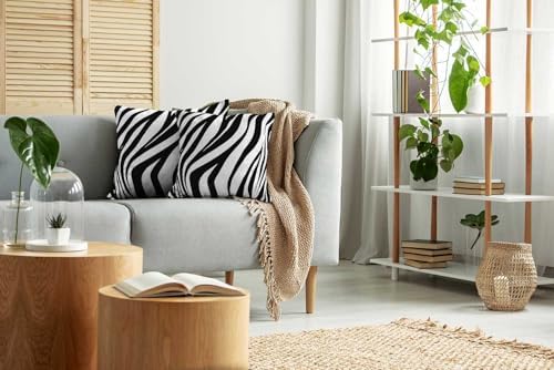 TOMWISH Black and White Zebra Print Throw Pillow Covers 26x26 in Sets of 2