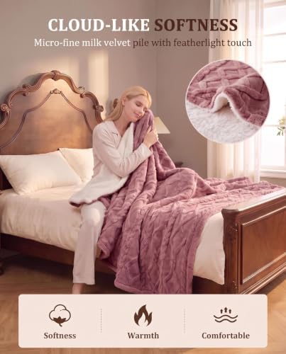 CAROMIO Electric Blanket Queen Size Dual Control, Heated Blanket Queen