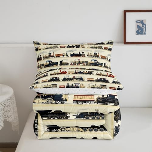 Feelyou Kids Vintage Train Comforter Set Twin Size Boys Girls