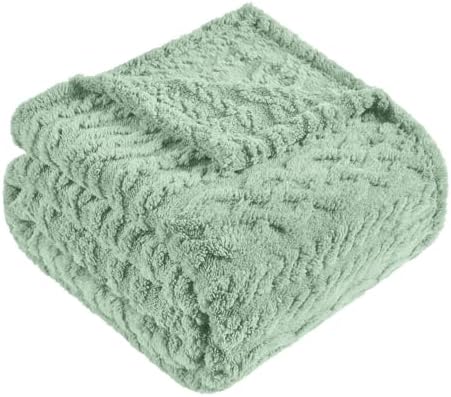 Green Throw Blanket - Soft & Fluffy Fleece, Cute & Aesthetic, Perfect for Sofa, Couch, Chair, Bed, Living Room & Bedroom, All-Season Use, Plush & Cozy Decorative Blanket 50x60