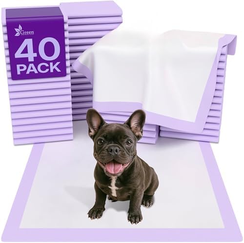GREEN LIFESTYLE Pee Pads - Super Absorbent & Leak-Proof Pee Pads for Dogs - Puppy Pads - Waterproof Dog Pads, Dog Training Pads for Cats, Rabbits (Pack of 40 - 22x22)