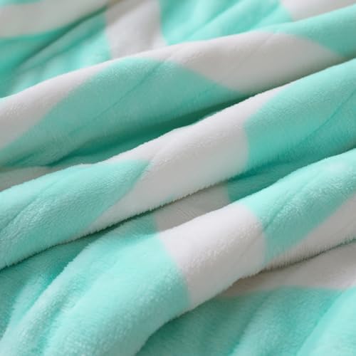 VENTIMI Heated Blanket Full, 9 Heat Levels & 2-10 Hours Auto Off, Green