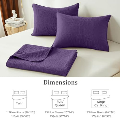 akkialla Purple Full/Queen Quilt Set, Ultrasonic Lightweight Bedspread Coverlet for Modern Minimalist Bedroom, Soft Microfiber Coin Pattern Bedding, 3-Piece (1 Quilt, 2 Pillow Shams)