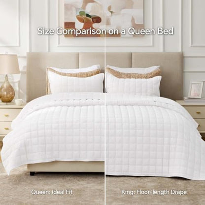 BEDELITE Velvet Quilt Set Queen Size, Luxury Velvet Comforter Bedding