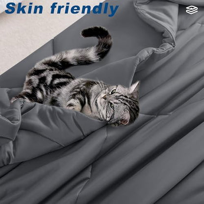 Cooling Comforter Queen Size, Double-Sided Cold Tech Fabric Quilted Bed Comforters Cooling Blanket for Hot Sleepers, Breathable Lightweight Summer Bedding, All-Season Ice Blanket, Dark Gray