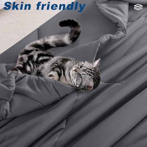 Cooling Comforter Twin Size, Double-Sided Cold Tech Fabric Quilted Bed Comforters Cooling Blanket for Hot Sleepers, Breathable Lightweight Summer Bedding, All-Season Ice Blanket, Dark Gray